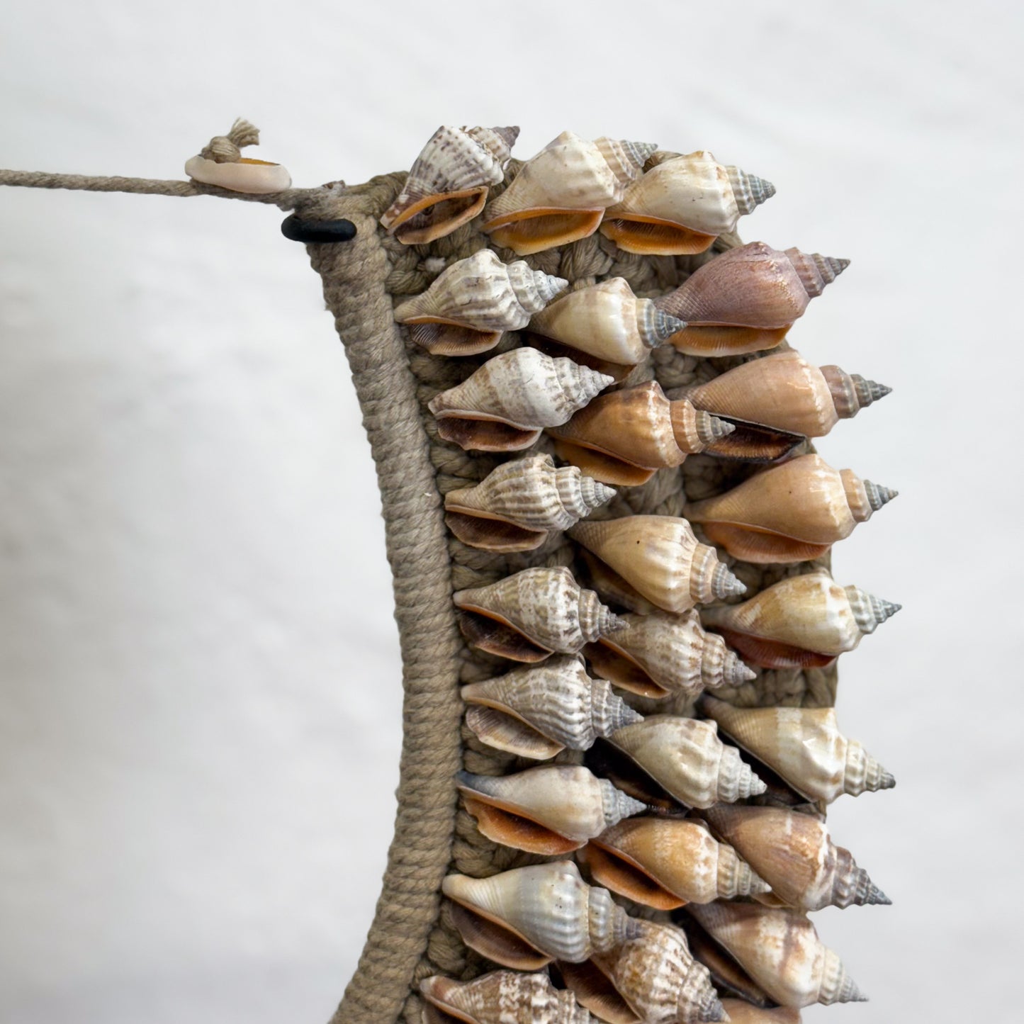 Decorative wall art with seashells on a wooden base against a white background