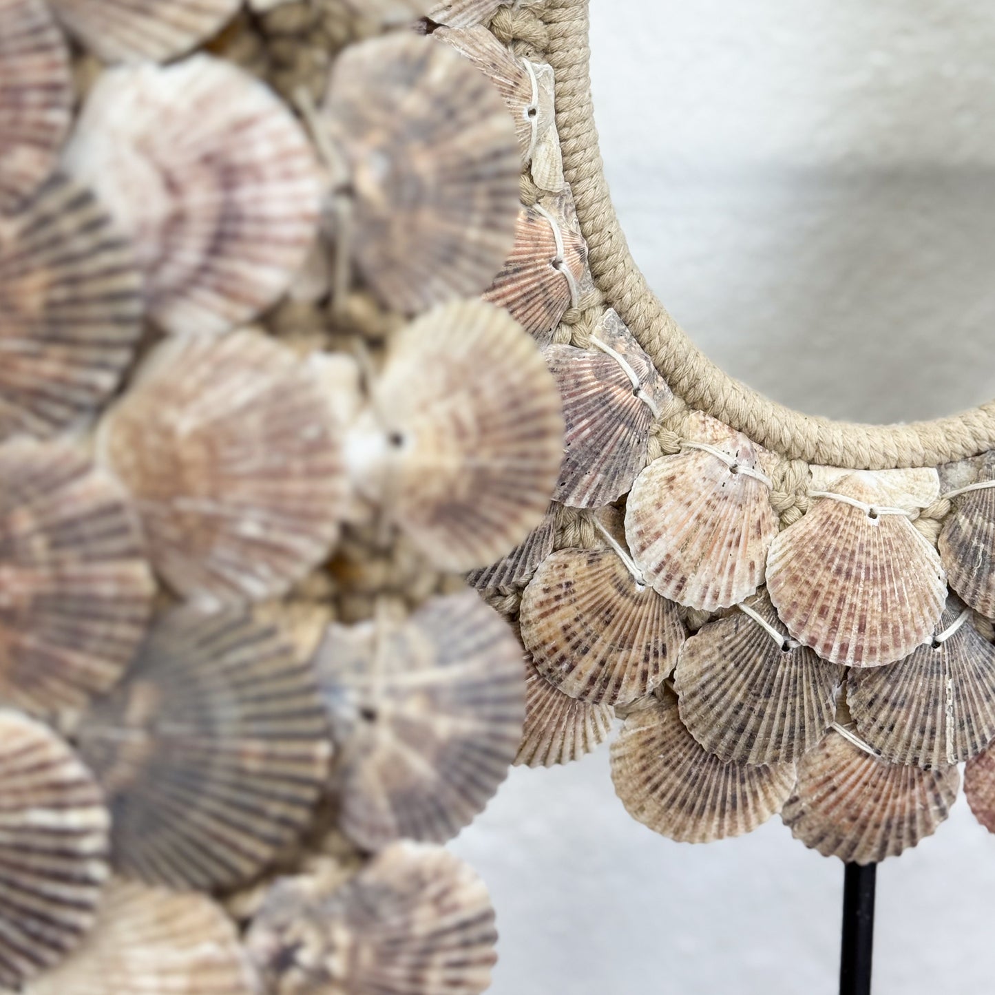 Decorative mirror with seashell pattern on a white background