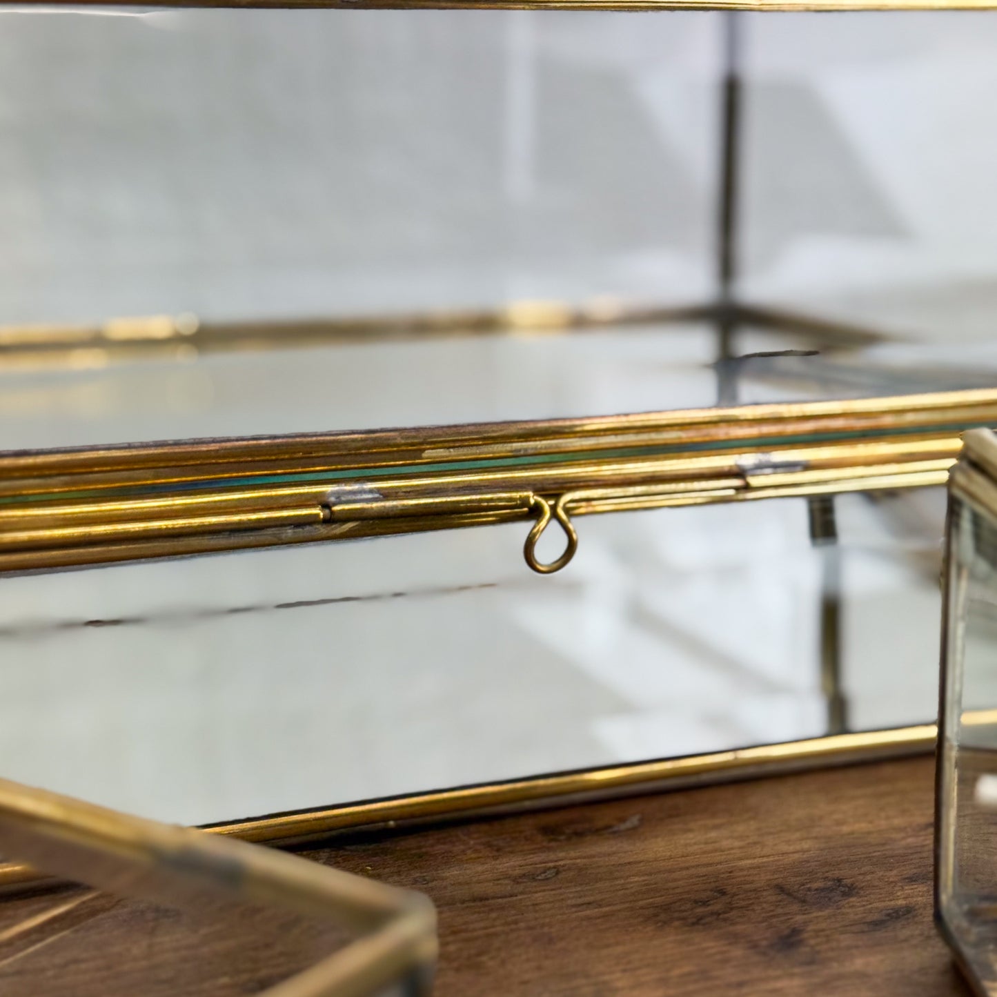 Glass display case with gold trim on a wooden surface