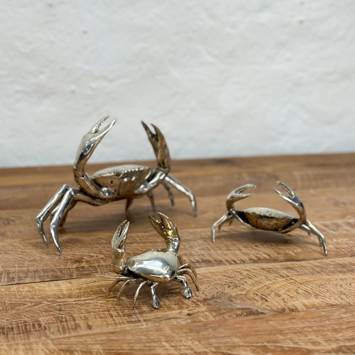 Silver Bronze Crab