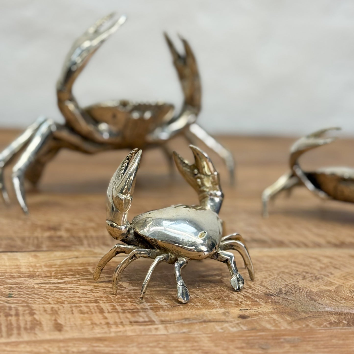 Silver Bronze Crab
