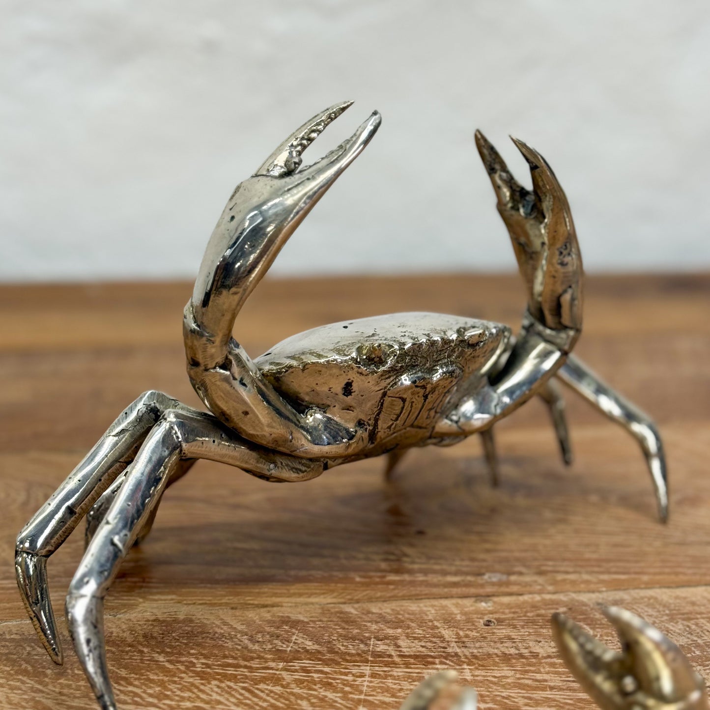 Silver Bronze Crab