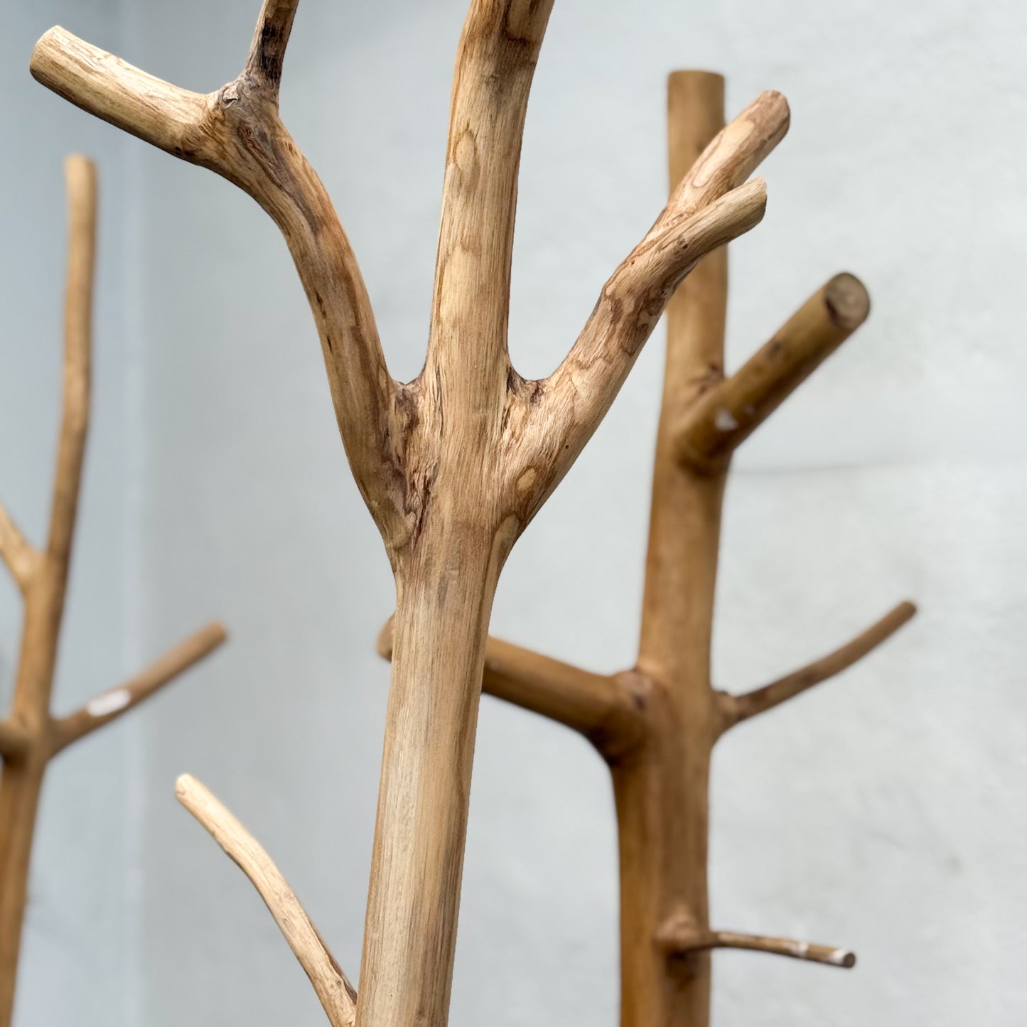 Wooden branch-like coat rack against a plain background