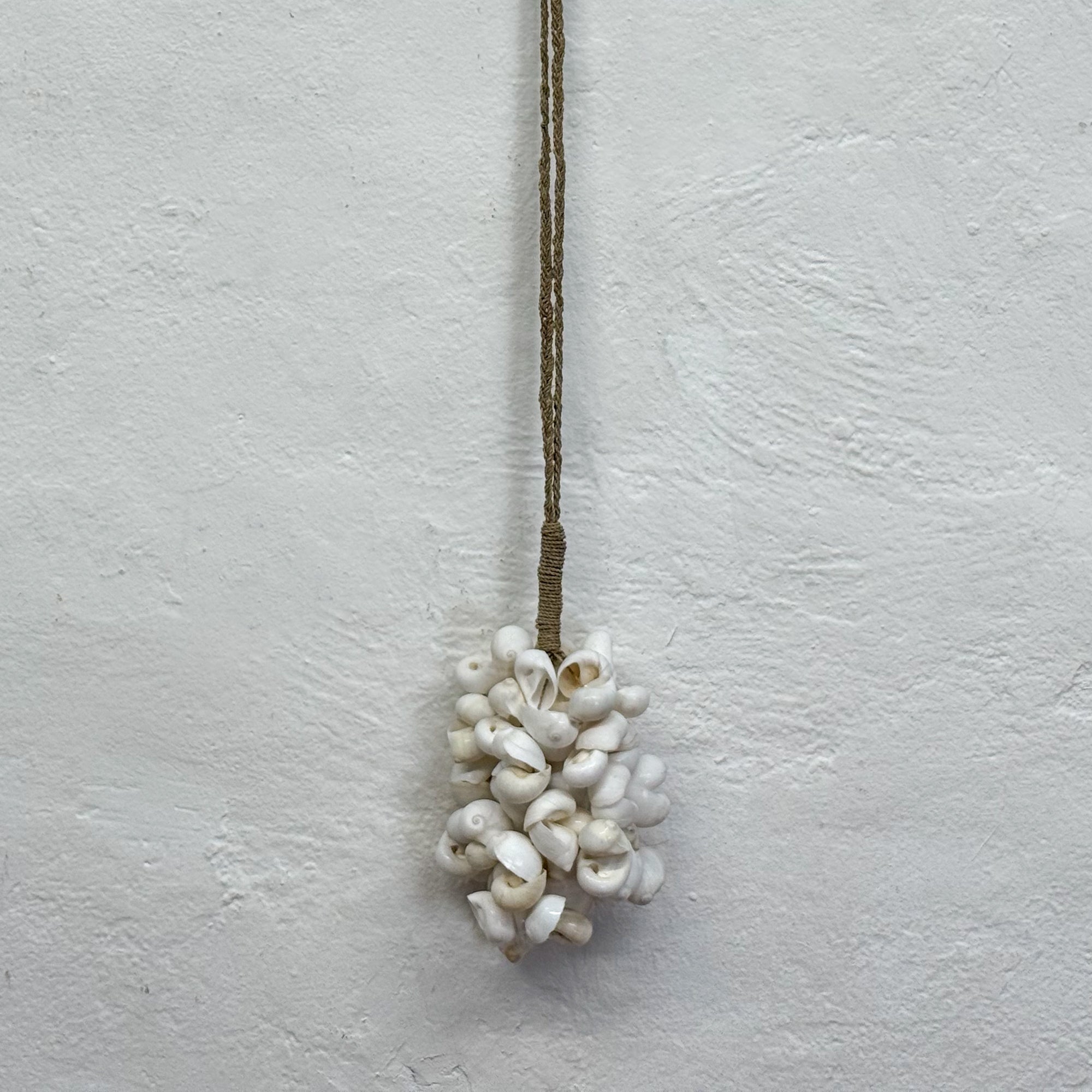 Moon Sea Snail Tassel III