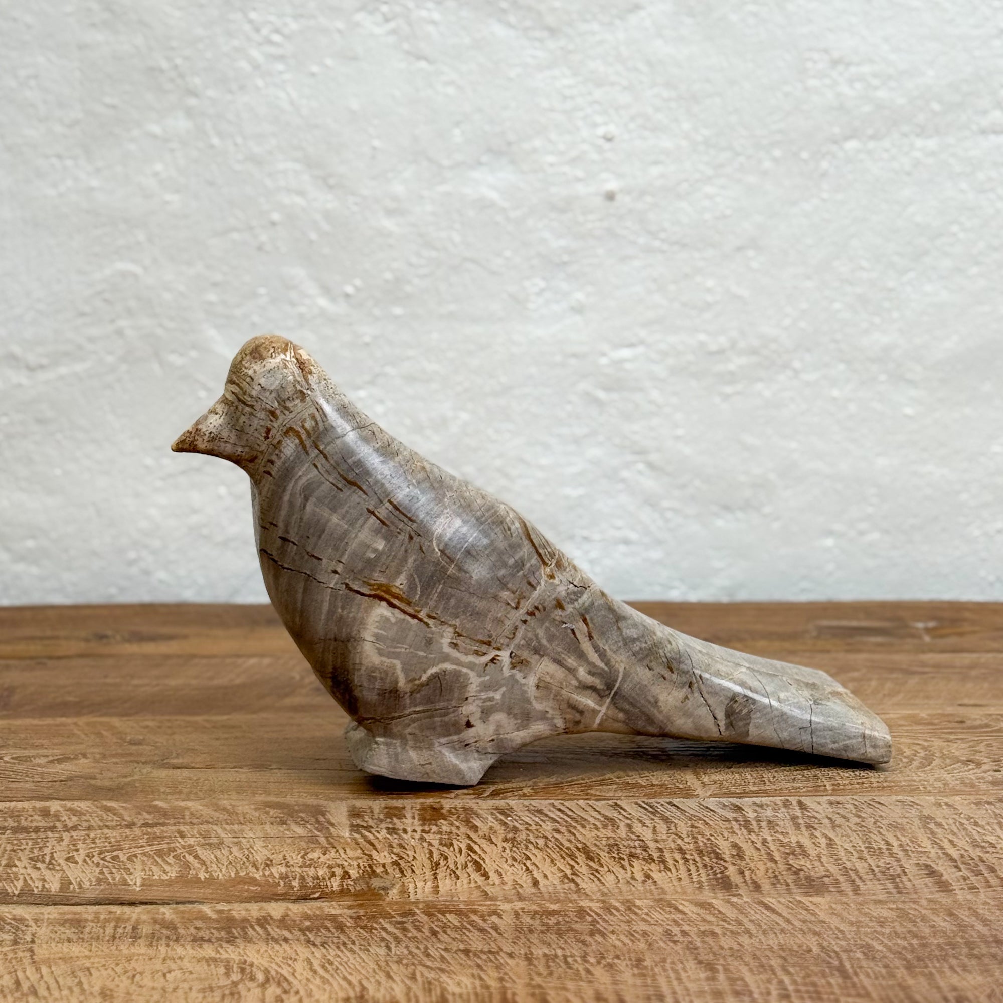Petrified Wood Bird I