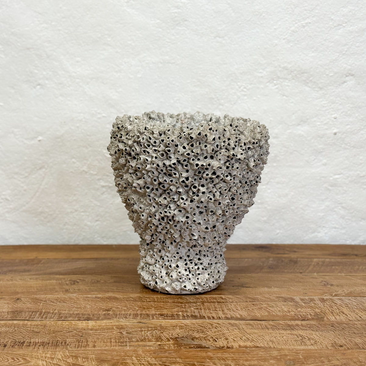 Peracles Pot Barnacle Pedestal Pot – Orient House