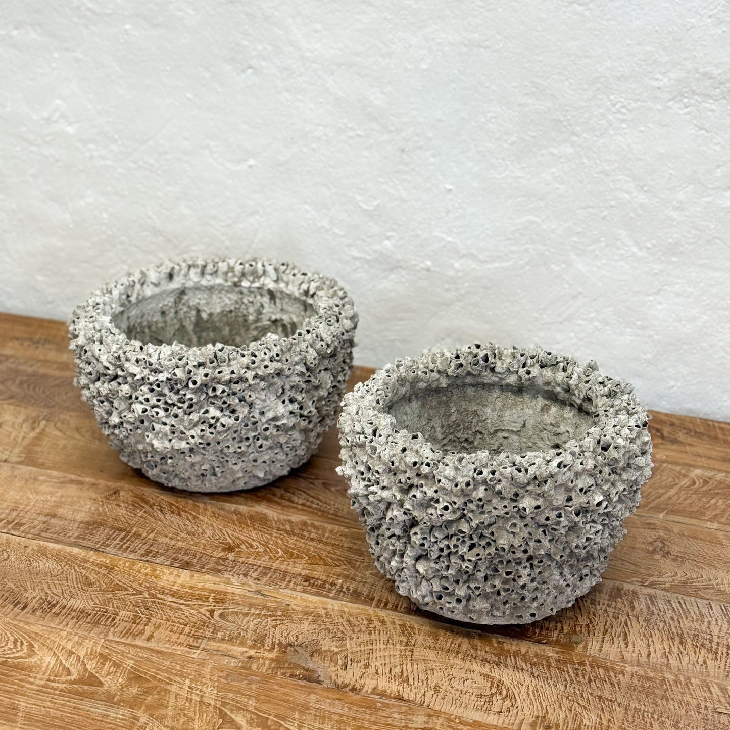 Two textured concrete planters on a wooden surface with a white textured wall background.