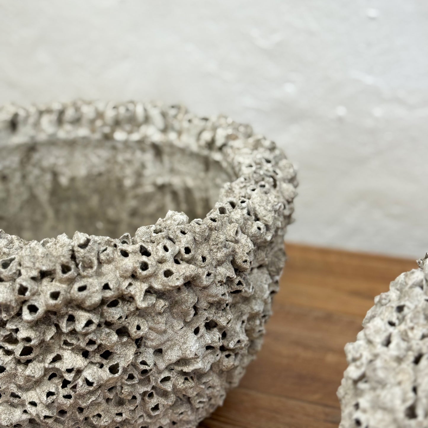 Textured stone-like planter on a wooden surface with a neutral background