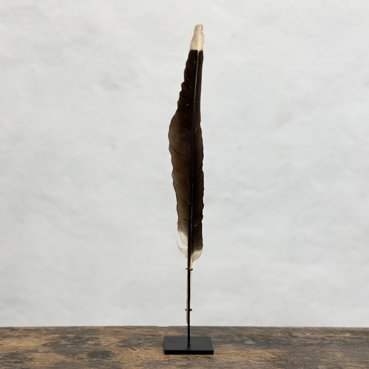 Feather on Stand