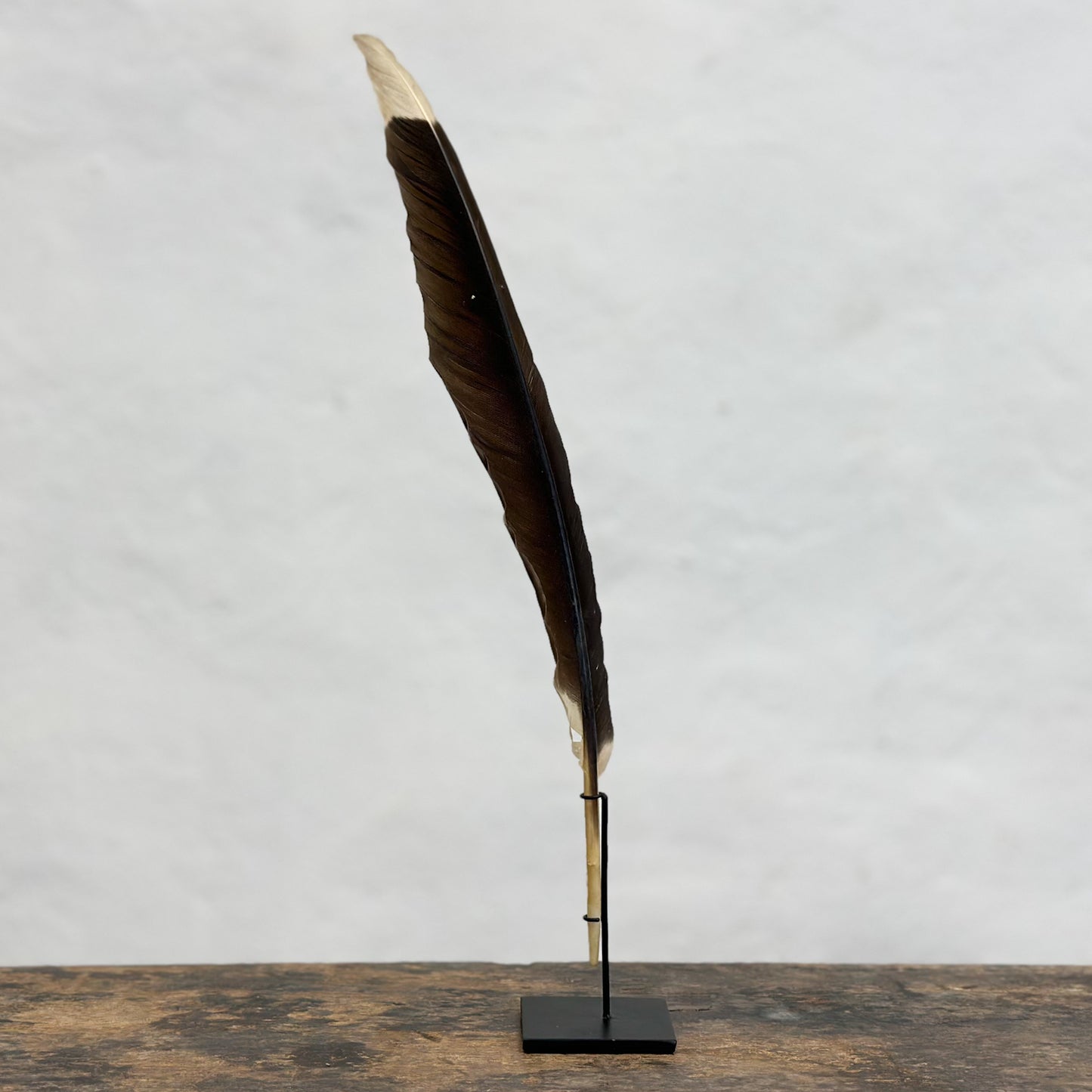 Feather on Stand
