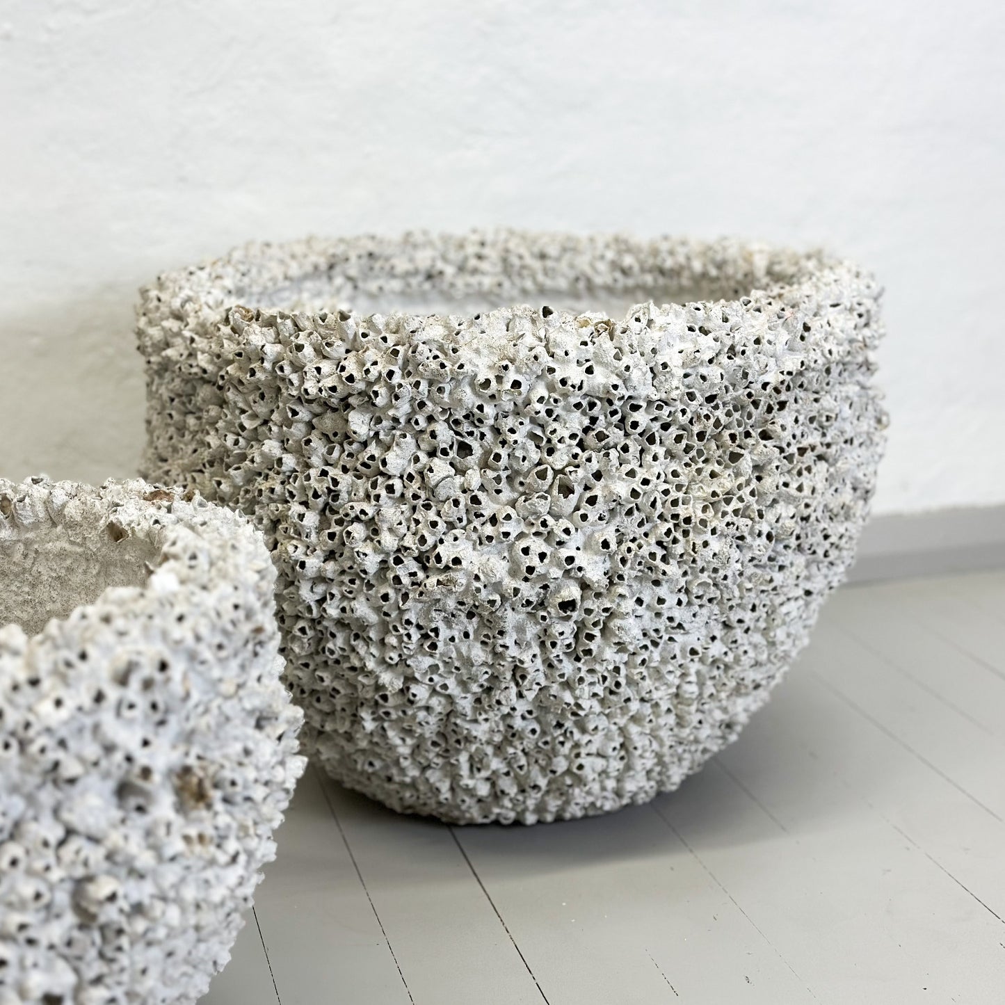 Extra Large Terracotta Barnacle Pot