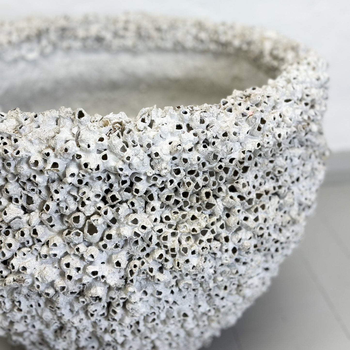 Extra Large Terracotta Barnacle Pot