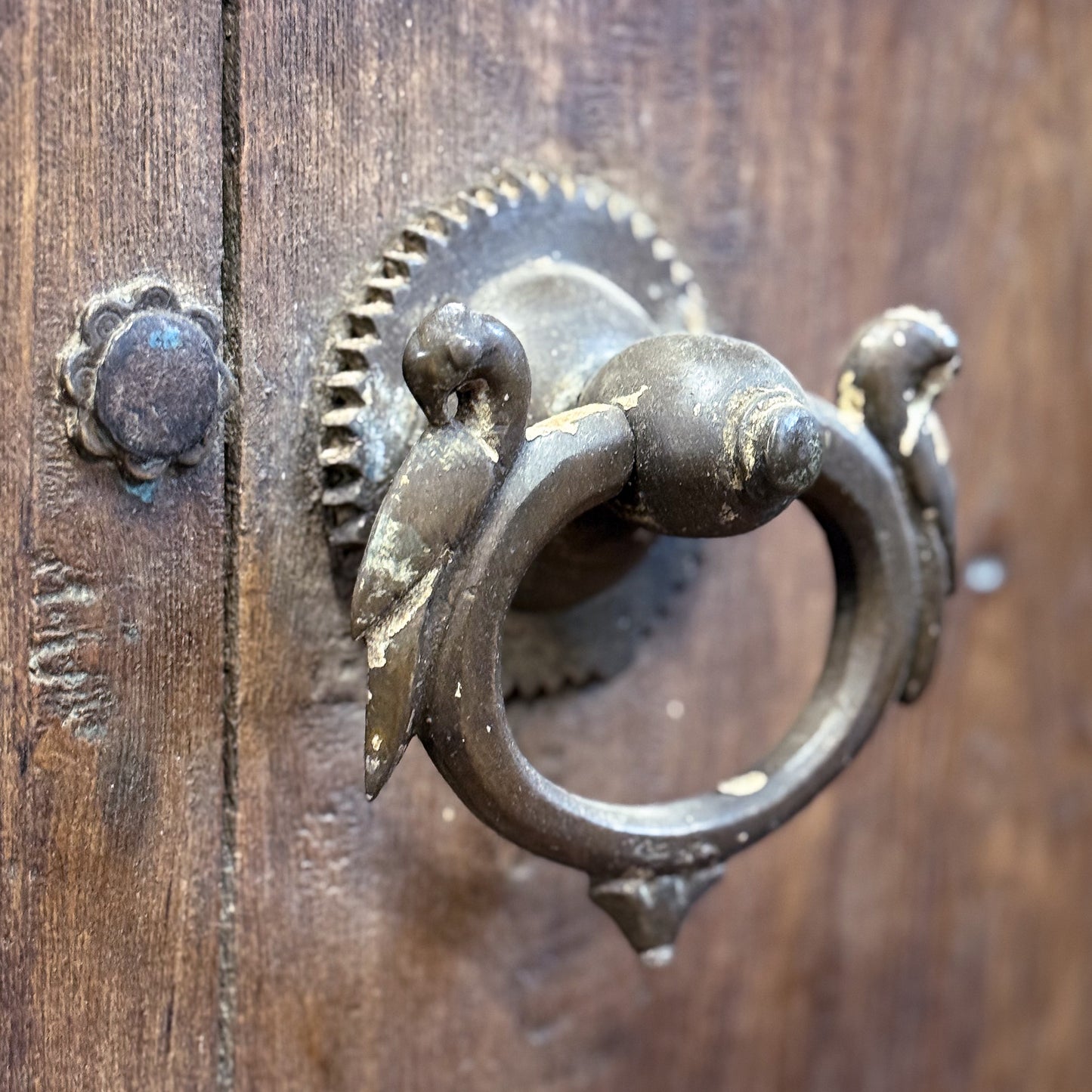Decorative metal knocker on a wooden door