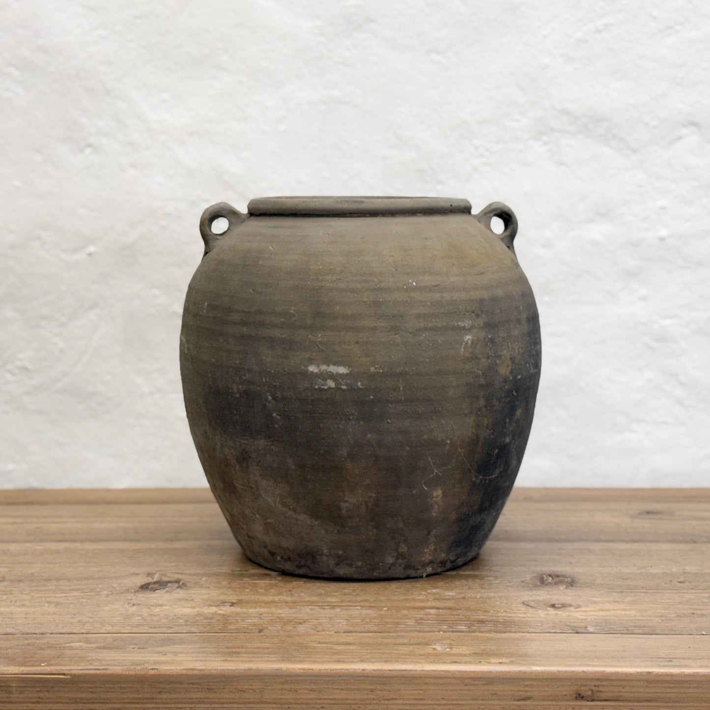 Large Foo Dog Handle Tofu Pot