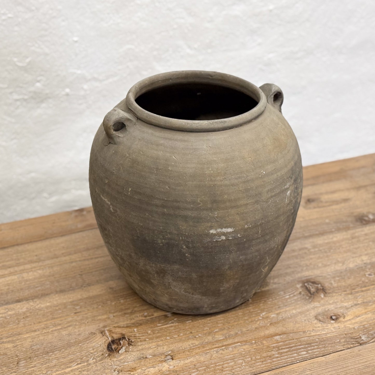 Large Foo Dog Handle Tofu Pot
