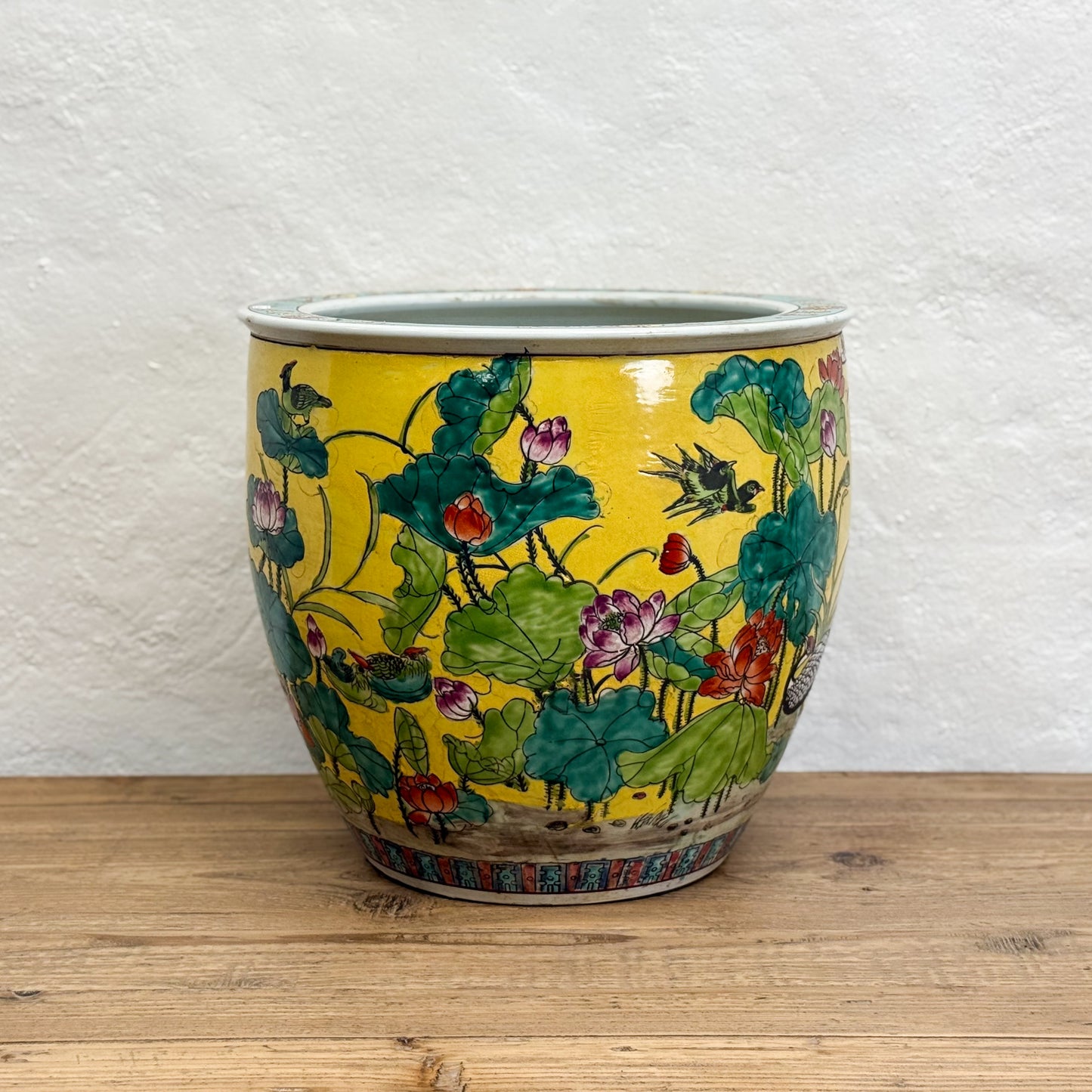 Multicolour Lotus Pond Planter