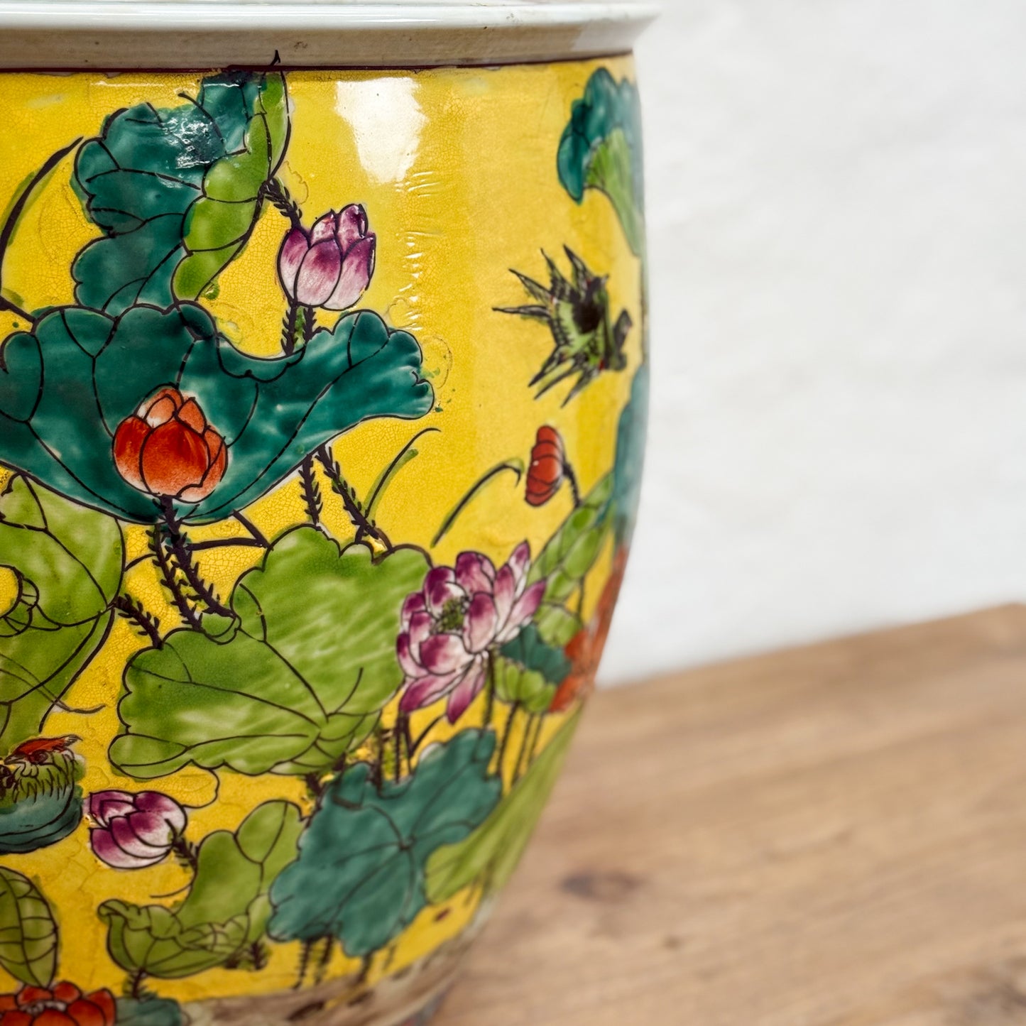 Multicolour Lotus Pond Planter