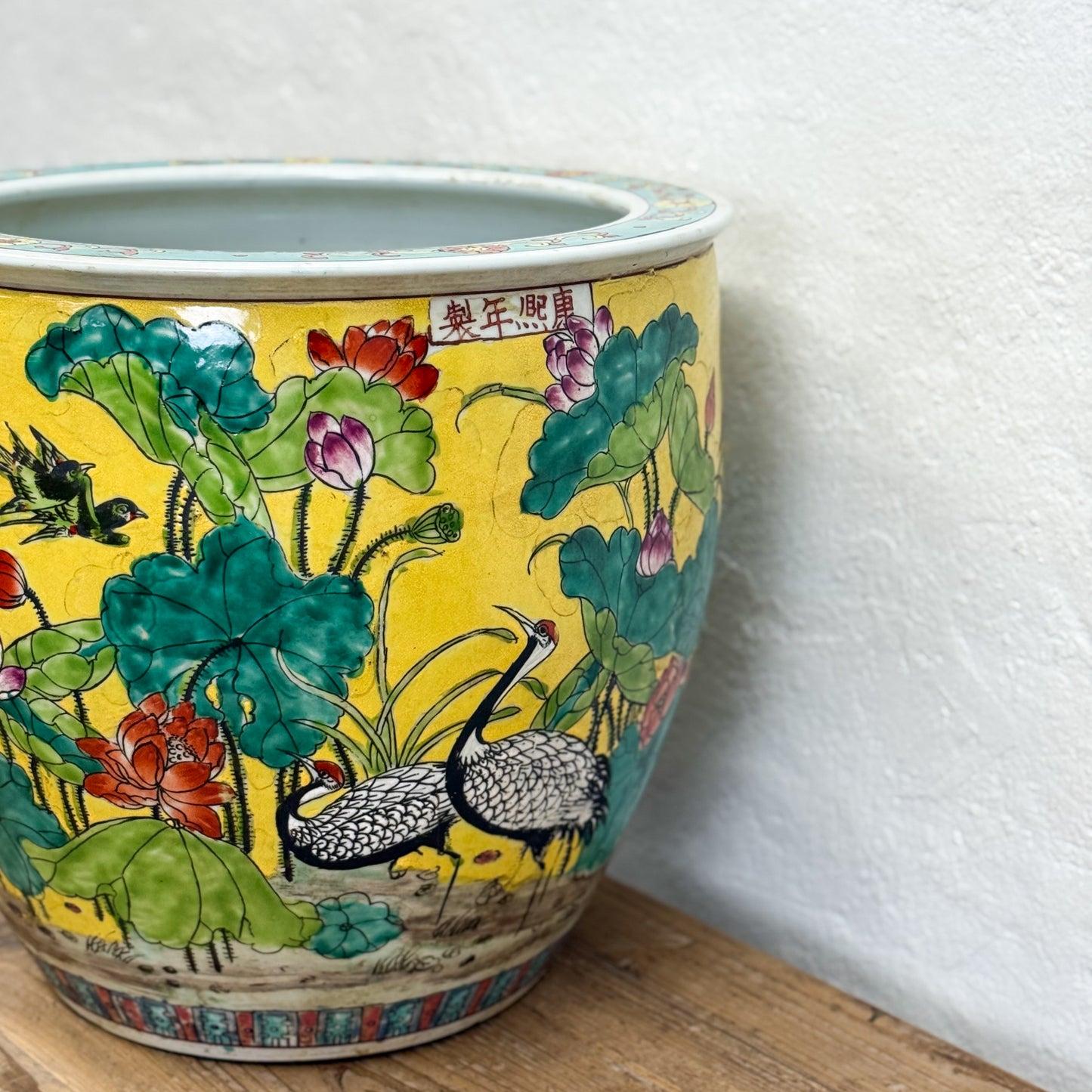 Multicolour Lotus Pond Planter