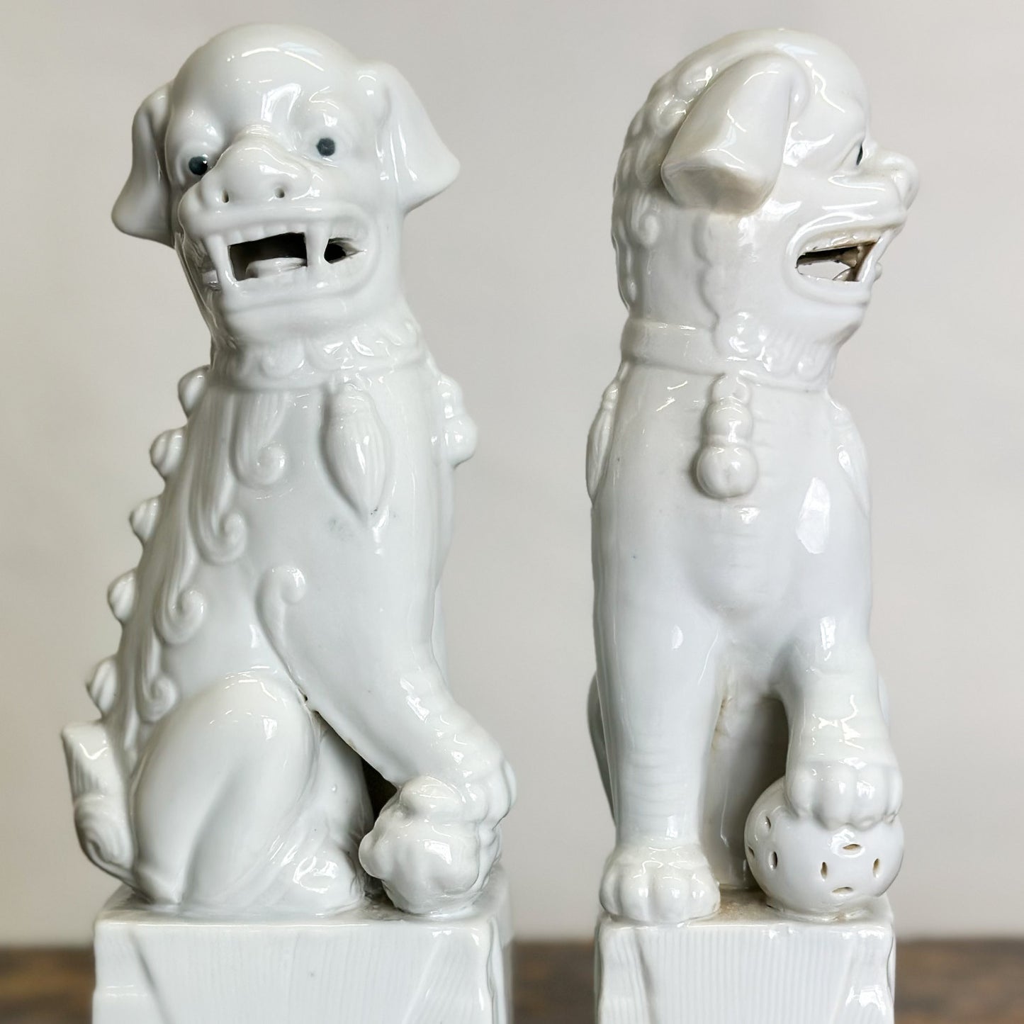 Porcelain Foo Dog Pair