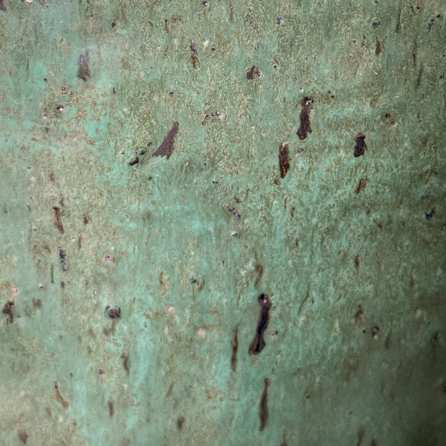 Textured green surface with brown patches