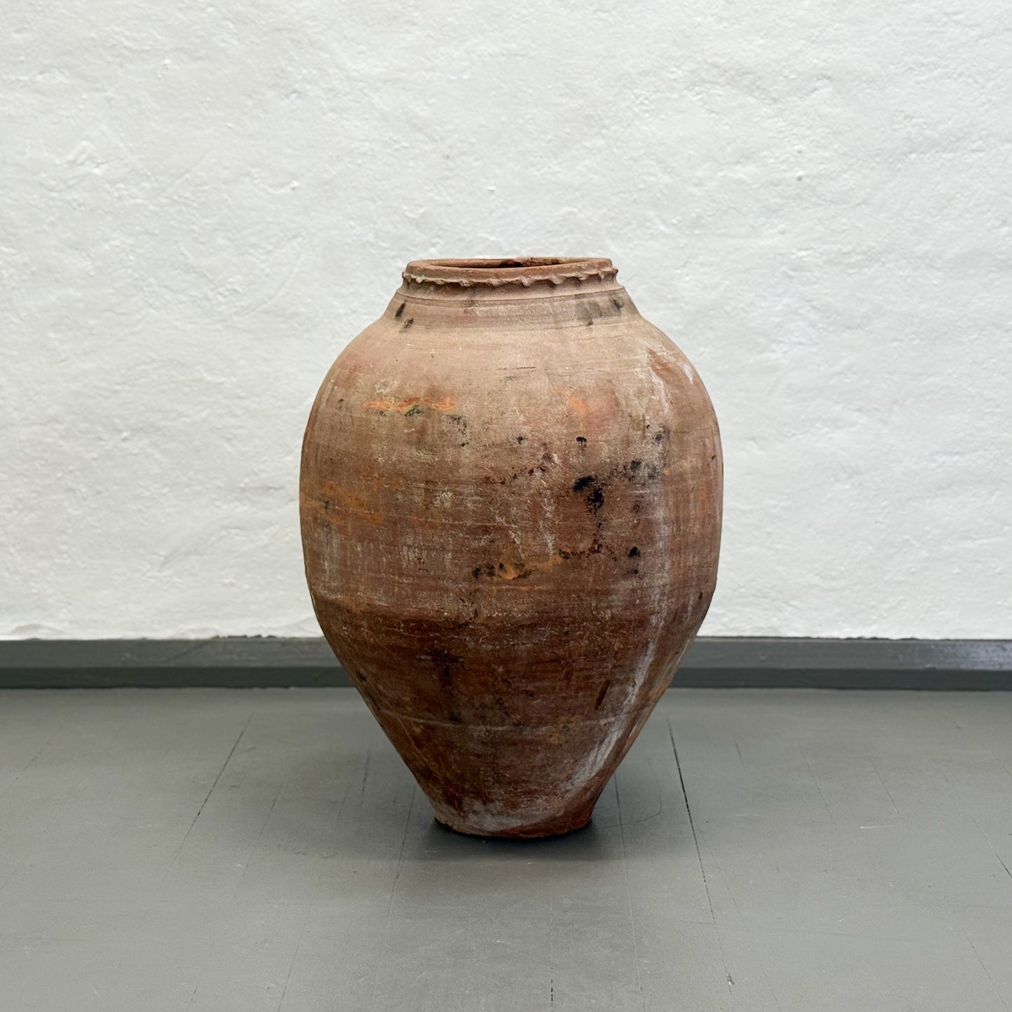 Large terracotta pot against a plain wall